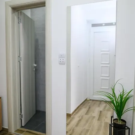 Apartment Sara Soko Banja