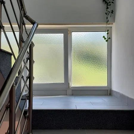 Sara Apartment Soko Banja